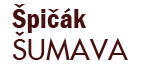 Primary Raster logo